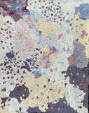 Mina Mina Jukurrpa - 2025 - BBB0357