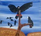 Red Bums in Alice Springs - 2026 - BBB0369