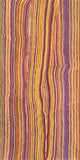 Pikilyi Jukurrpa - 2024 - BBB0371